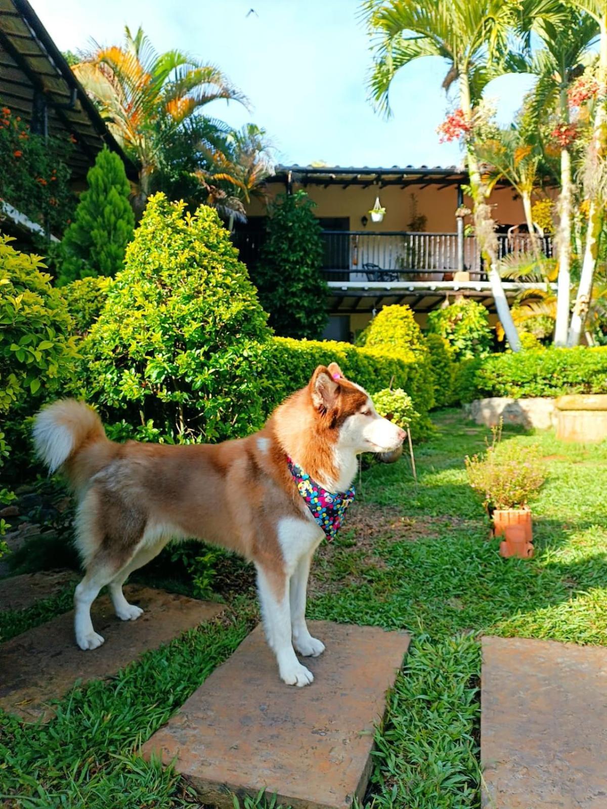 Hotel Campestre Casona Del Camino Real San Gil Eksteriør billede